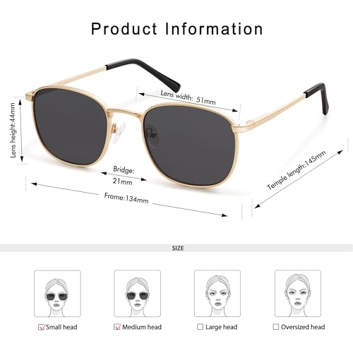 Appassal Small Retro Square Sunglasses for Women Men with Spring Hinge Sunnies AP3646,Gold/Grey