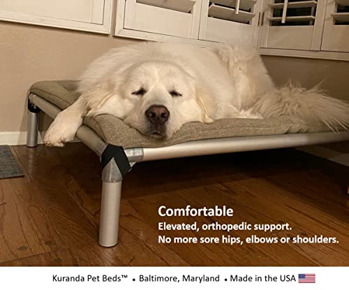 Kuranda Chewproof Bed - Silver Aluminum - 30" x 20" - Cordura Nylon - Burgundy