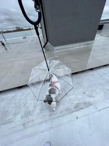 NAMSAN Clear Umbrella for Dogs Small, Doggy Umbrella Leash for Rain Walking, Small Dog Umbrella with Adjustable Leash, Self-Assembly