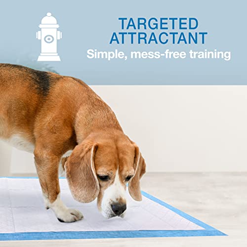 Four Paws Wee-Wee Superior Performance XL Pee Pads for Extra Large Dogs, Leak-Proof Floor Protection Dog & Puppy Quilted Potty Training Pads, Unscented, 28" x 34" (14 Count)