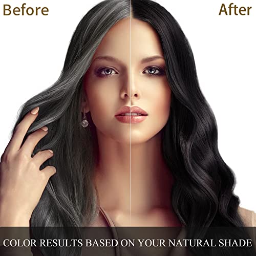 Black Hair Dye Shampoo 3 in 1 for Gray Hair Coverage Hair Dye Champu Para Canas Hair Color Shampoo for Men and Women Herbal Hair Dye Shampoo