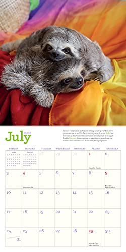 Original Sloths Mini Wall Calendar 2022: 12 Months of Irresistible Cuteness, Sloth Trivia, Stories, and Facts