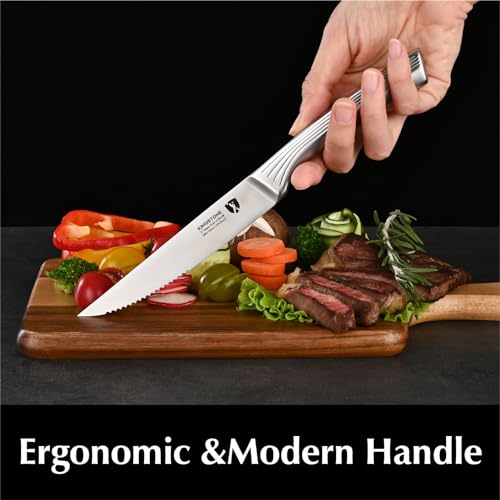 KINGSTONE 5" Steak Knives Set of 6 Pieces Kitchen Steak Knife Set German Stainless Steel Serrated Steak Knives with Gift Box Dishwasher Safe (6, sliver)