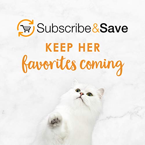 Purina Fancy Feast Sliced Turkey Feast Wet Cat Food in Gravy - (Pack of 24) 3 oz. Cans