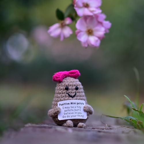 qyqkfly 1 Pcs Mini Cute Funny Positive Life Bunny Creative Knitted Animal Holding Card Crochet Easter Birthday Christmas Girls Gifts Party Decor(Potato)