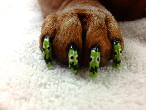 Warren London Pawdicure Polish Pen - Non-Toxic Dog Nail Polish Pen