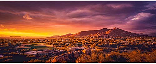 AWERT 72x16 inches Sun and Desert Terrarium Background Mountain Oasis Gobi Reptile Habitat Background Vinyl