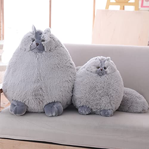 Winsterch Stuffed Animal Plushie Cat Stuffed Animal,Cute Soft Plush Cat Animals,Gray Stuffed Cat, Birthday for Kids,Boys,Girls,Fat Cat Stuffed Toy (Gray, 10 Inches)