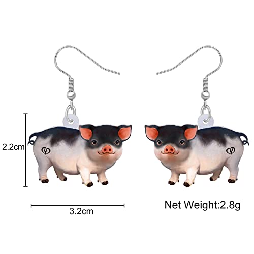 LONYOO Acrylic Pink Pig Earrings Dangle Cute Pig Jewelry for Women Pig Gifts (Pink 440)