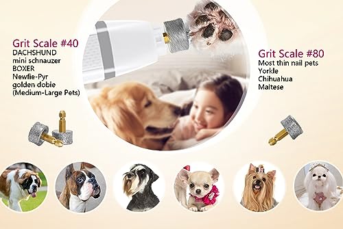 2 Pack Replacement Grinding Wheels/Heads/Bits for Casfuy All Models (Except N90), LuckyTail and Most Brands' Cat/Pet/Dog Nail Grinders, Highly Efficient, Safe and Reliable
