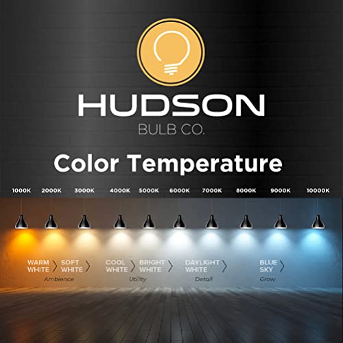 HUDSON BULB CO. Vintage Edison LED Light Bulbs 6W (6 Pack), Soft White, Non-Dimmable, E26/E27 Base, ST58 Style, 60 Watt Equivalent