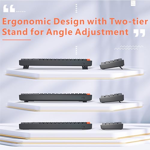 Odycle Wired Gaming Mechanical Keyboard, Portable LED Backlit Keyboard, 78 Keys 60% Mini Keyboard with Hot Swappable Red Switch, USB-A and Type-C Receiver for PC, Mac and All Type-C Devices, Black