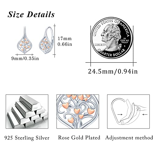 Dragonfly Earrings 925 Sterling Silver Small Dragonfly Leverback Cute Dangle Hoop Earrings Dragonfly Jewelry for Women Teen Hypoallergenic Earrings for Sensitive Ears