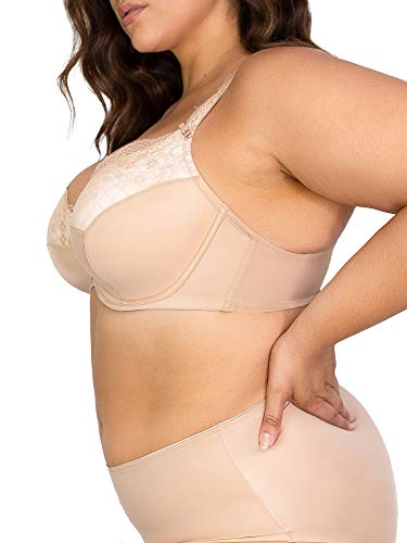 Curvy Couture Women's Tulip Lace Push Up Bra, Black Adobe Rose, 44DD