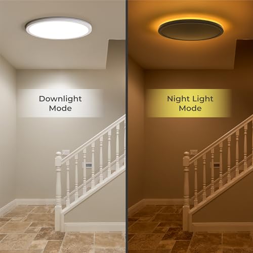 Matane 12in LED Flush Mount Ceiling Light Fixture with Remote Control, Nightlight 2000K Warm, 3000K-6500K Adjustable, Wired Low Profile Ceiling Lights for Bedroom, Kitchen, Living Room, White