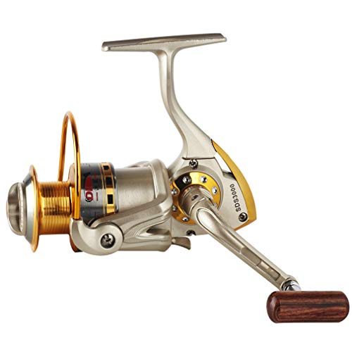 Diwa Spinning Fishing Reels for Saltwater Freshwater 1000 2000 3000 4000 5000 6000 Series Fishing Spool Left/Right Interchangeable Trout Carp Spinning Reel 10 Ball Bearings Light and Smooth (1000)