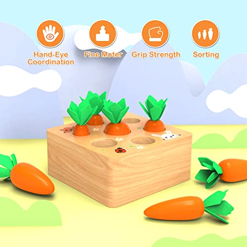 Montessoritoys for 1 Year Old, Wooden Toys Developmental Shape Sorting & Matching Puzzle Carrots Harvest Game, Birthday Gifts for Toddlers Babies Boys and Girls 6-12 Months Christmas