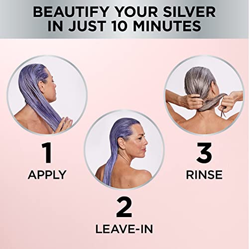 L'Oreal Paris Le Color Gloss One Step Toning Gloss, In-Shower Hair Toner with Deep Conditioning Treatment Formula for Gray Hair, Silver Slate, 1 Kit