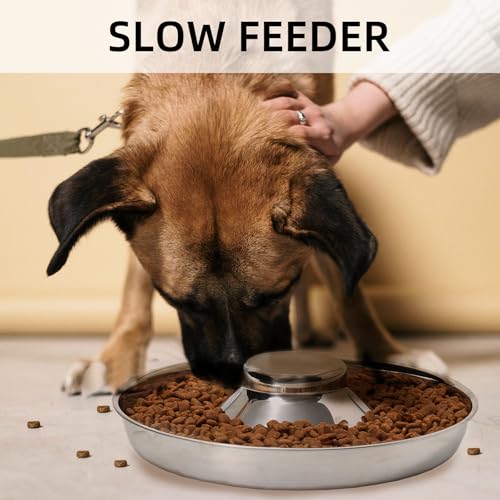 Thankspaw Stainless Steel Puppy Bowls, Set of 2 Puppy Feeder, Dog Food and Water Bowl, Food Feeding Weaning for Small Medium Large Dogs, Pets, S