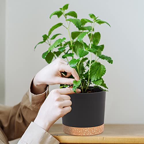 QCQHDU 2 Pack Window Boxes Planters,16”x 7" Self Watering Pots with Drainage Holes and Trays,Indoor Home Garden Modern Decorative Plant Pot for All House Plants Flowers Herbs (White)