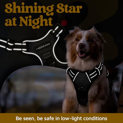 rabbitgoo Dog Harness Small Sized, No Pull Dog Vest Harness with 3 Buckles, Adjustable Soft Padded Pet Harness with Easy Control Handle and Reflective Strips, Black, S