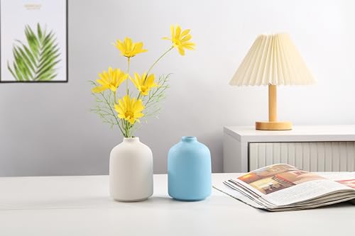 LSBTAUCP- Home Decoration Ceramic Vases, Ceramic Vases, Dried Flower vases, Living Room Decoration, Flower Arrangement Decoration Shooting Props, Coffee Table Decoration, Best Gift( (Blue)