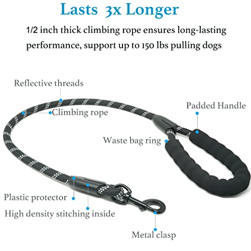 iYoShop Dual Dog Leash, 360 Swivel No Tangle Walking Leash, Shock Absorbing Bungee for Two Dogs, Black, Medium (8-35 lbs)