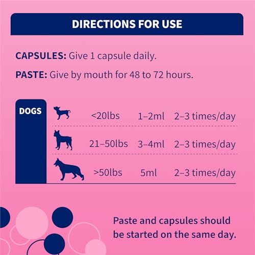 Proviable Digestive Health Supplement Kit with Multi-Strain Probiotics and Prebiotics for Medium to Large Dogs - with 7 Strains of Bacteria, 30 mL Paste and 10 Capsules