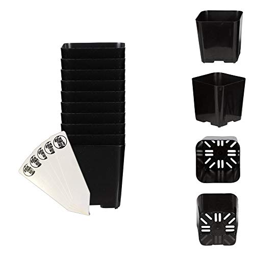 The Hydroponic City Black Square Flower Nursery Pots for Starting Seedlings, Succulents, or Cacti - 2" x 2", Pack of 10 + 5 THCity Stakes