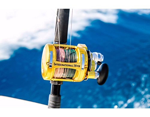 Penn INT12VI International VI Single Speed Fishing Reel