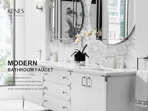 KENES Single Handle Bathroom Sink Faucet, Brushed Nickel Vanity Faucet for Bathroom Sink, with Pop Up Drain Stopper & Water Supply Lines LJ-9031