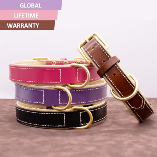 HSIGIO Leather Dog Collar for Small Medium and Large Dogs, Soft Padded Dog Leather Collar with Gold Buckle, Adjustable Genuine Leather Collars for Small Dogs(Black, S)