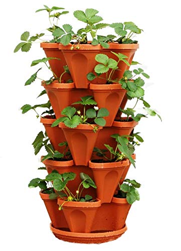 Mr. Stacky 5-Tier Strawberry Planter Pot, 5 Pots