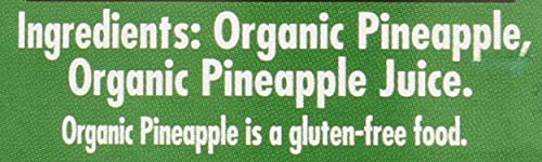 Native Forest Pineapple Chunks, Organic, 14 Oz