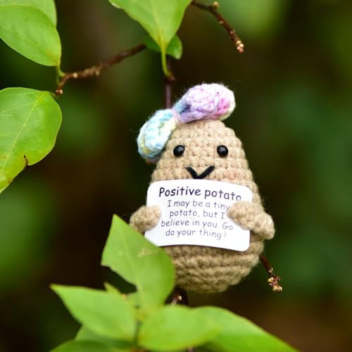 qyqkfly 1 Pcs Mini Cute Funny Positive Life Bunny Creative Knitted Animal Holding Card Crochet Easter Birthday Christmas Girls Gifts Party Decor(Potato)