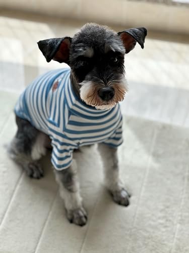 Turtleneck Dog Sweater Cute Doggie Embroidery Super Soft Dog Sweatshirt Dog Shirt Stretchy Striped Puppy Pullover for Cats Small Medium Large Dog (Black Striped, X-Small)