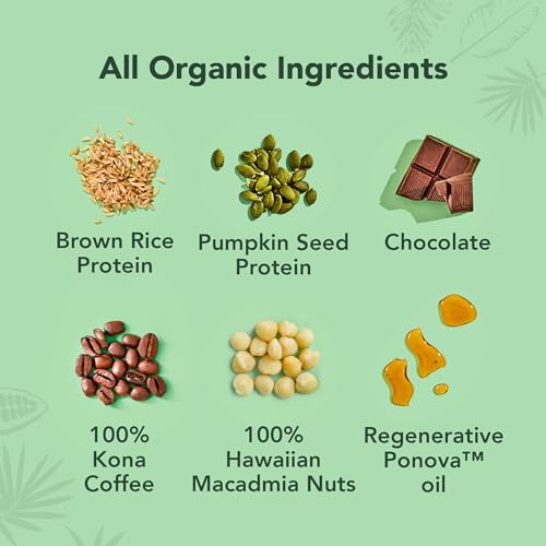 ALOHA Organic Plant Based Protein Bars - Lemon Cashew - 12-Count - Vegan, Low Sugar, Gluten-Free, Paleo, Low Carb, Non-GMO, No Stevia & No Erythritol