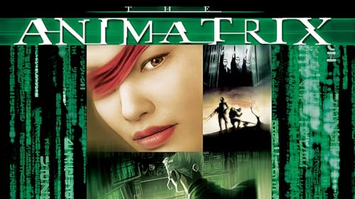 The Animatrix