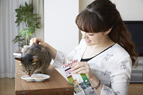INABA Natural, Premium Hand-Cut Grilled Chicken Fillet Cat Treats/Topper/Complement with Vitamin E and Green Tea Extract, 0.9 Ounces Each, 10 Pack, Variety Pack