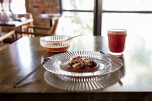 Fortessa Archie Glass 12 Piece Dinnerware Set, Service for 4, Clear