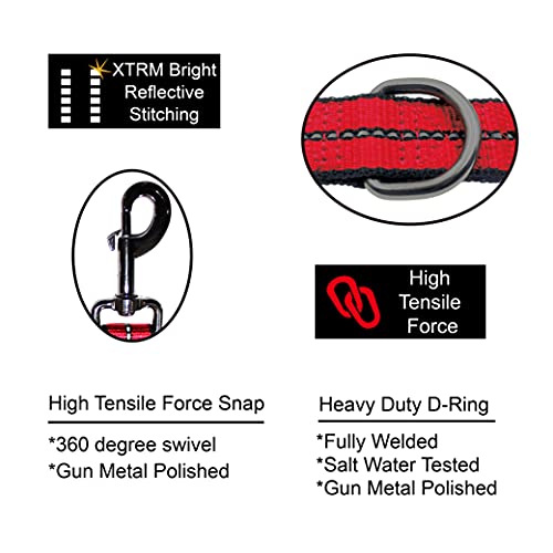 Kruz Double Dog Coupler - KZVX2-15S - Tangle Free Dog Walking and Training Dual Extension Coupler - Comfortable, Shock Absorbing - Reflective Bungee Coupler for Two Dogs - Blue - 5/8" x 14"