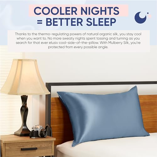 Blissy Silk Pillowcase - 100% Pure Mulberry Silk - 22 Momme 6A High-Grade Fibers - Silk Pillow Cover for Hair & Skin - Regular, Queen & King with Hidden Zipper (King, Pink)