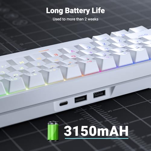 RK ROYAL KLUDGE RK837 Video Gaming Keyboard - 65% Layout Mechanical Keyboard, BT5.1/2.4G/Wired with 3 USB Ports, RGB Backlit, Hot-Swap PC Computer Wireless Keyboard for Mac Laptop, Clicky Blue Switch