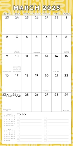 Great Big Grid 2025 Wall Planner, 17-Months Calendar Planner: August 2024 - December 2025, 12" x 12"