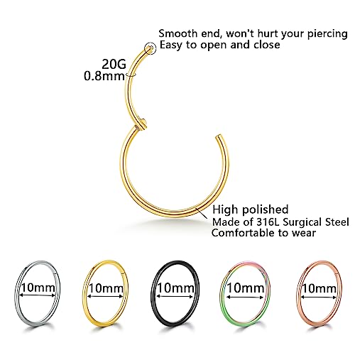 GW 5 Pcs Hoop Nose Rings Hoop Set 316L Surgical Steel, Septum Clicker Nose Hoop Rings, Cartilage Hoop Earrings, Lip Rings, Body Piercing Jewelry (20g 6mm)
