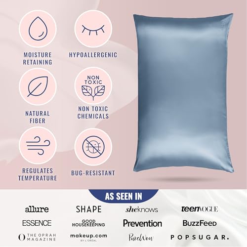 Blissy Silk Pillowcase - 100% Pure Mulberry Silk - 22 Momme 6A High-Grade Fibers - Silk Pillow Cover for Hair & Skin - Regular, Queen & King with Hidden Zipper (King, Pink)