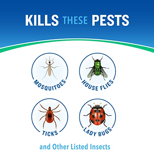 Cutter Essentials Bug Control Spray Concentrate, Kills Mosquitoes by Contact for Insects (Pack of 2)