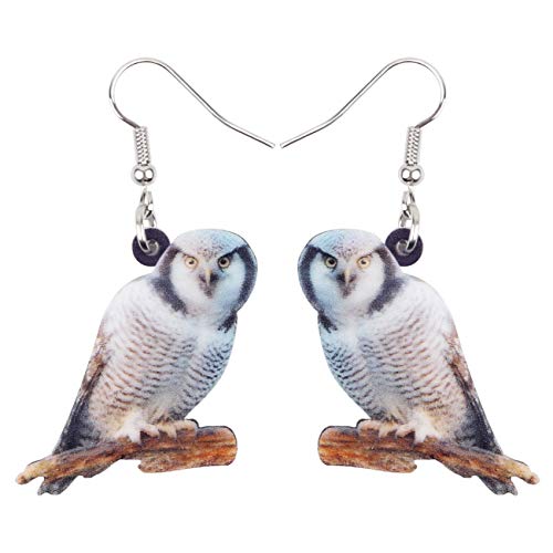 BONSNY Drop Dangle Cute Fun Brown Owl Earrings Bird Jewelry For Women Gift Charms (Arctic)