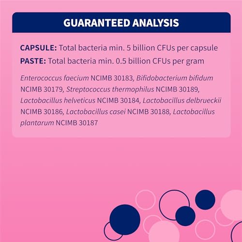 Proviable Digestive Health Supplement Kit with Multi-Strain Probiotics and Prebiotics for Medium to Large Dogs - with 7 Strains of Bacteria, 30 mL Paste and 10 Capsules