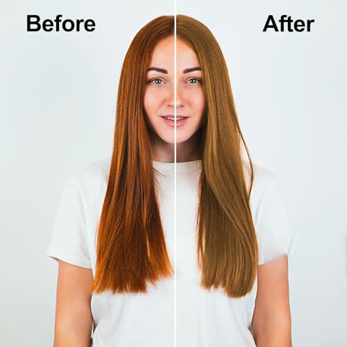 Hair Dye Shampoo 3 in 1, Black Hair Dye 16.9 FL Oz, Black Hair Shampoo, Semi-Permanent Hair Dye Shampoo, Lasts 30 Days Hair Color Shampoo (Black)